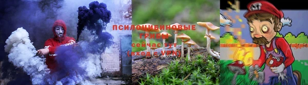 прущие грибы Аша