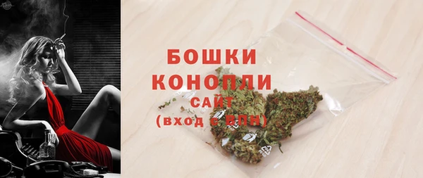 прущие грибы Аша