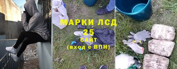 прущие грибы Аша