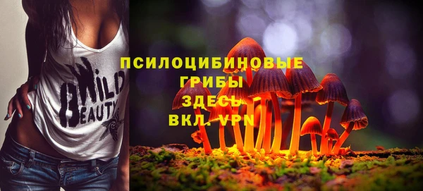 бошки Пенза