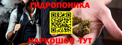 кокс Донской