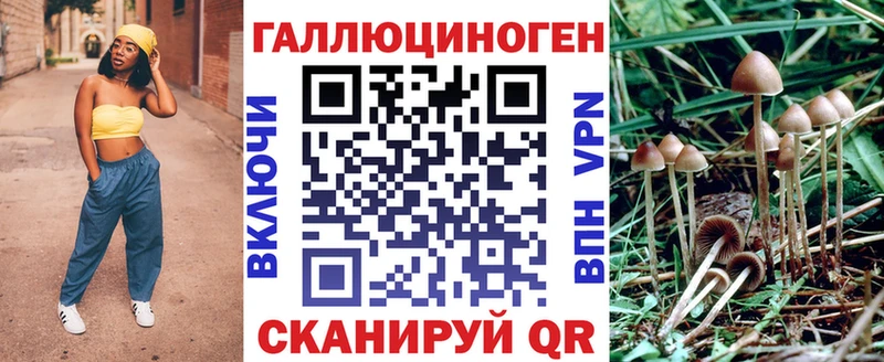 хочу наркоту  Новошахтинск  Псилоцибиновые грибы ЛСД 