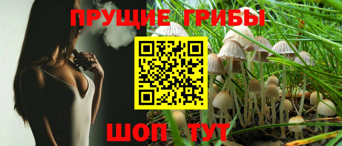 как найти закладки  Вход с VPN  Новошахтинск  Галлюциногенные грибы мухоморы  Псилоцибиновые грибы GOLDEN TEACHER 